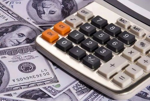 IT行業(yè)熱潮中的財(cái)務(wù)核算 機(jī)遇、挑戰(zhàn)與市場調(diào)研分析